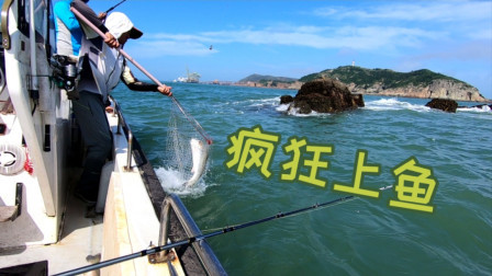 阿杰今天人品大爆发，一只虾换一条鲈鱼，这样钓鱼就像捡钱一样