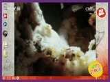 芝麻开门【央视】 《芝麻开门》 20160808