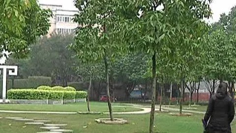 小强热线 小强热线20140312