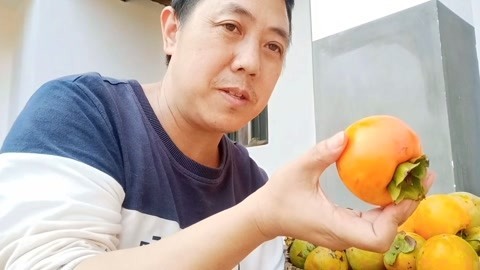 唱罢吹灯 新鲜硬柿子怎么保存才好吃，农村大叔2分钟传授绝招，安逸哟