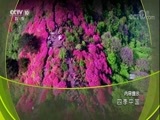 地理中国 《地理中国》 20171224 四季中国·万象更新