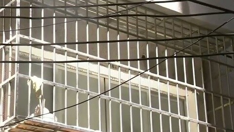 零距离 零距离20150807