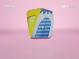 小小智慧树 《小小智慧树》 20161205