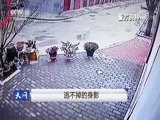 天网 《天网》 20180817 逃不掉的身影