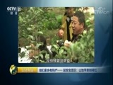 生财有道 《生财有道》 20171115 咱们家乡有特产——延安宝塔区：山地苹果别样红