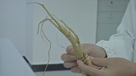 红薯地里挖到“宝贝” 男子吃了两口差点出人命