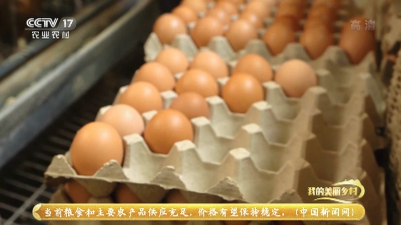 《我的美丽乡村》 20210328 幸福的金蛋蛋