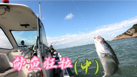 阿杰找到鲈鱼群，三个人进入狂拉模式，下钩就中这鲈鱼数量太惊人