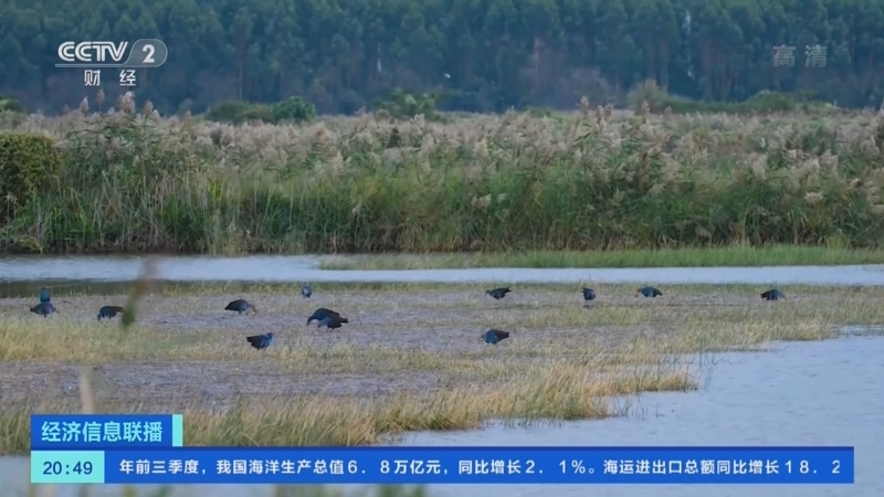 经济信息联播 《经济信息联播》 20221103