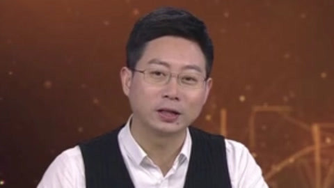 经典传奇 寻找恐怖野猪林中的秘密 林中深处遍布圆形坑洞