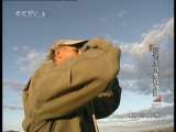 动物世界 动物世界 2010年 第216期