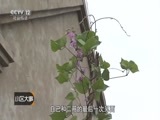 小区大事 《小区大事》 20151017 触不到的亲情