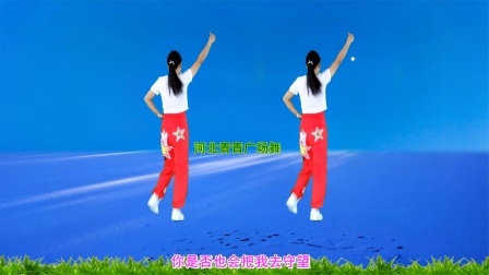 流行DJ广场舞及教学 第三季 动感踩点广场舞《想你的时候问月亮》演示分解