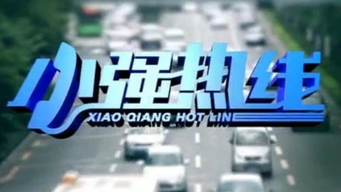 小强热线 小强热线20141130