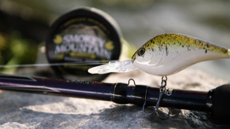 路亚大咖说—Bertrand教你操作胖子的小细节