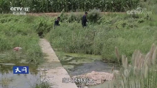 天网 《天网》 20190927 守护
