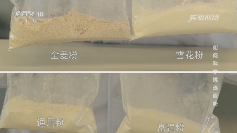 《实验现场》 20260306 如何科学挑选面粉