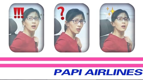 papi酱 假如飞机像汽车一样普及
