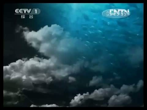 人与自然 《人与自然》 20130426 自然故事 雌狮莱恩的故事