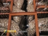 消费主张 《消费主张》 20160420 菜价调查——蒜乡探访蒜价