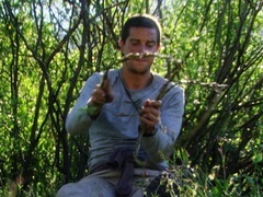 荒野求生第1季（Man vs. Wild Season 1） 荒野求生第1季（Man vs. Wild Season 1）第5集