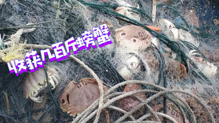 南澳岛赶海日记 彪哥出海捕鱼收螃蟹网，一次就收获几百斤螃蟹，可惜高兴不起来