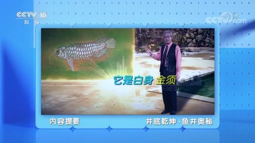 地理中国 《地理·中国》 20200308 井底乾坤·鱼井奥秘