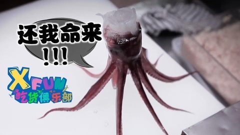 XFun吃货俱乐部2015 无头乌贼来索命 吃or不吃