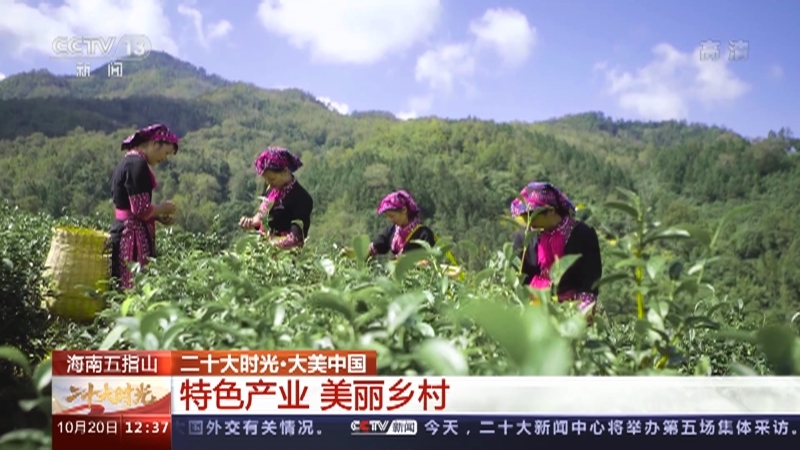 《二十大时光》 20221020