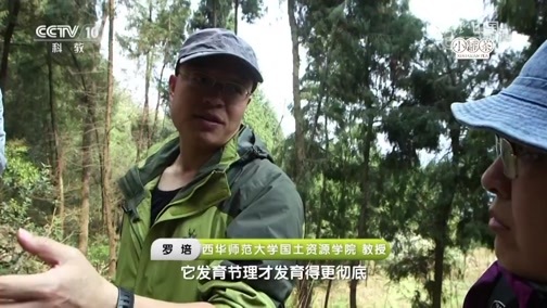 地理中国 《地理中国》 20181019 探秘孔雀乡