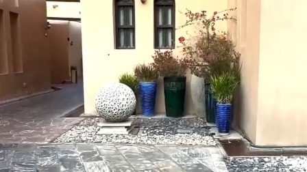 漫步多哈文艺打卡地 体验传统集市里的世界杯氛围