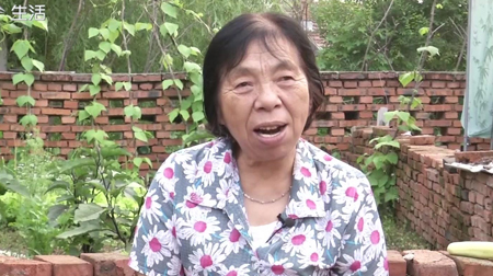 谁能跟我回农村扒苞米