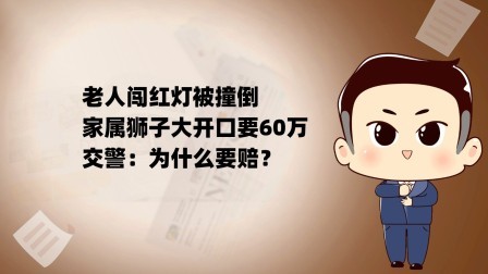 品人生百味第二季 老人闯红灯被撞倒，家属狮子大开口要60万，交警：为什么要赔？