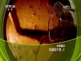走近科学 《走近科学》 20170109 铁罐造牛黄（上）