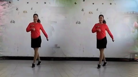 糖豆广场舞精选大众舞蹈 定州丽丽广场舞《向往拉萨》鬼步舞
