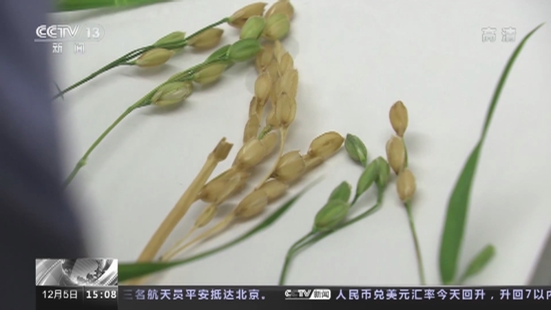 新闻直播间 《新闻直播间》 20221205 15:00
