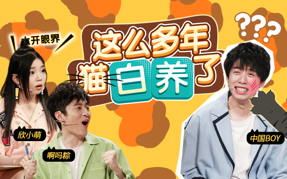 动物圈的问号脸 猫狗大战！中国BOY公开处刑