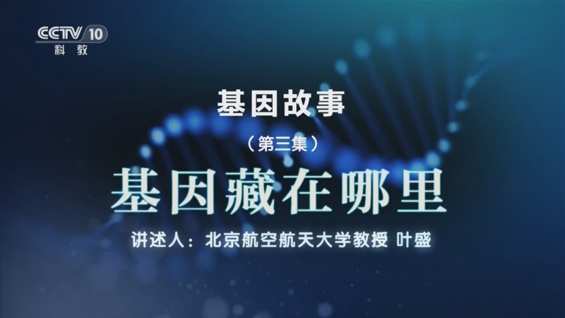 百家说故事 《百家说故事》 20260502