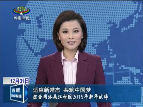 西藏新闻联播 《西藏新闻联播》 20141231