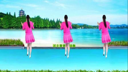 流行DJ广场舞及教学 第三季 广场舞《轻轻的问候你还好吗》演示分解