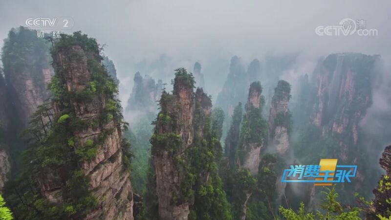 消费主张 《消费主张》 20201016 金秋时节 错峰出游好去处：观山