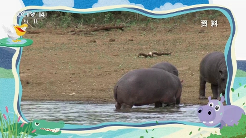 《小小智慧树》 20260212