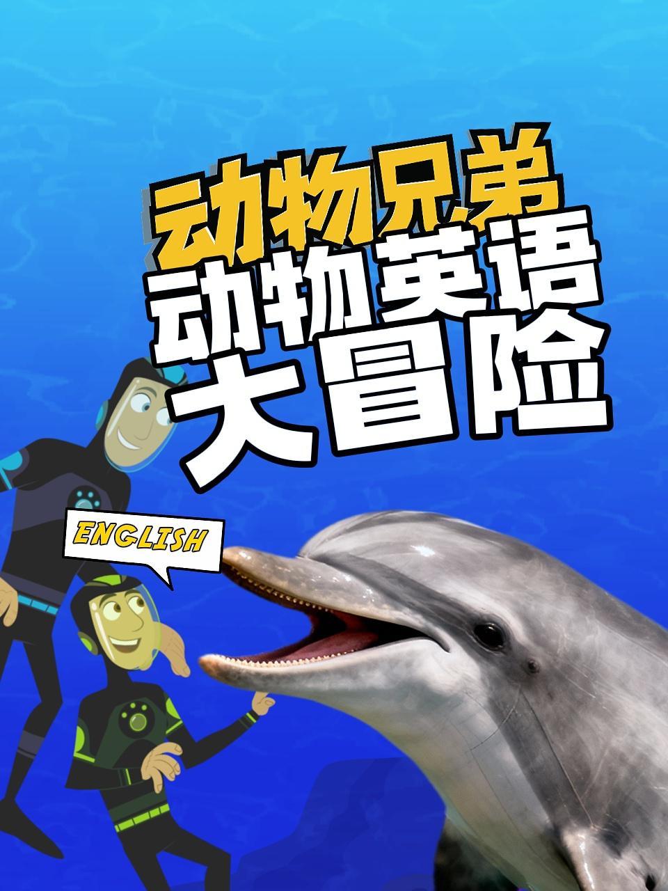 动物兄弟动物英语大冒险 海报