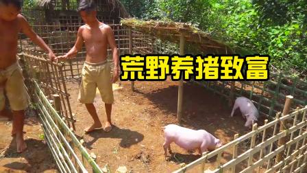 荒野建造者 第二季 农村兄弟不当啃老族，开启荒野养猪之路，再苦自己扛