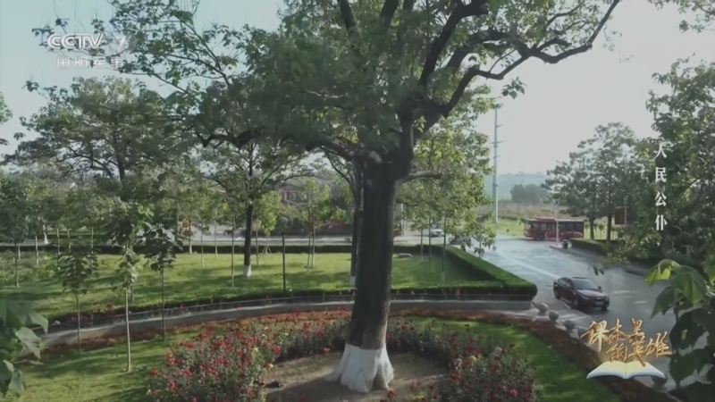 《课本里的英雄》 第6集 人民公仆