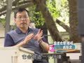 动物大明星 动物大明星 蜜蜂