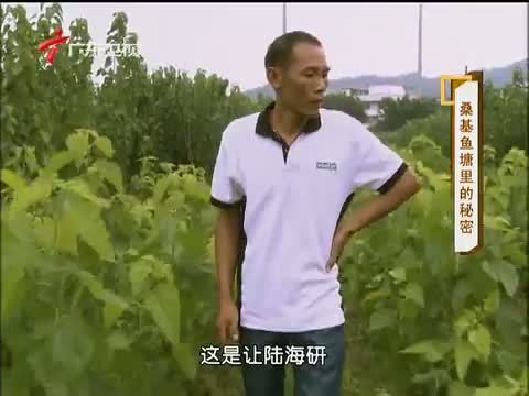 凡人大爱 《凡人大爱》 20131125 桑基鱼塘里的秘密