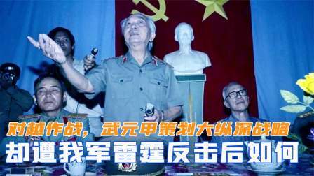 华夏史录 对越作战，武元甲策划大纵深战略，却遭我军雷霆反击后如何