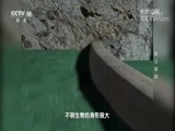 地理中国 《地理中国》 20180304 紫云奇洞