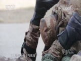 军事纪实 《军事纪实》 20180514 特战小组练兵记